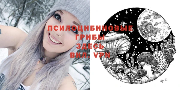 твердый Белокуриха