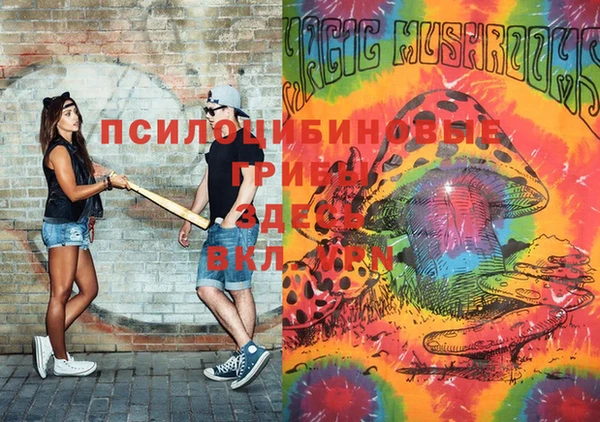 соль ск Саяногорск