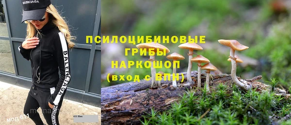 твердый Белокуриха