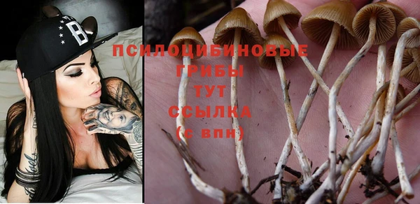 твердый Белокуриха