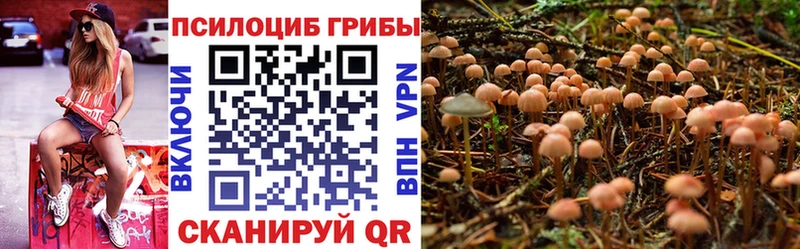 Псилоцибиновые грибы мухоморы  Шимановск 