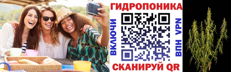 Бошки Шишки Amnesia Шимановск
